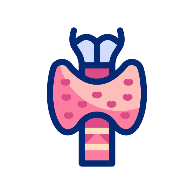 Thyroid